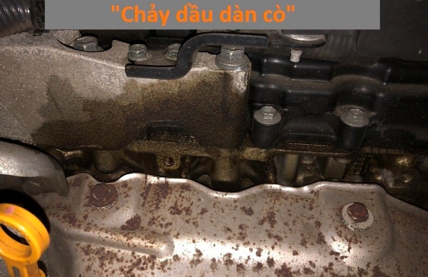 dấu hiệu cần thay gioăng dàn cò