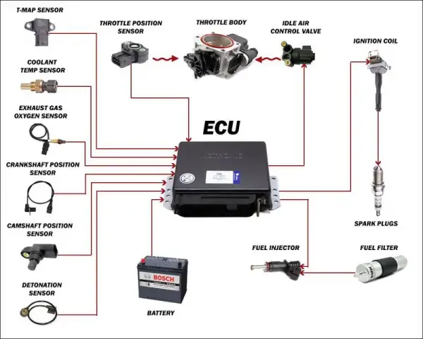 cấu tạo ecu ô tô