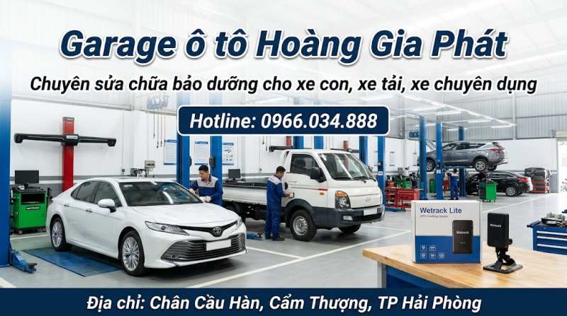 Thiết bị định vị Wetrack Lite